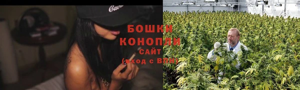 спайс Вяземский