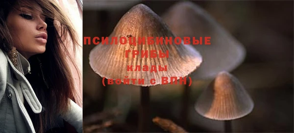 спайс Вяземский