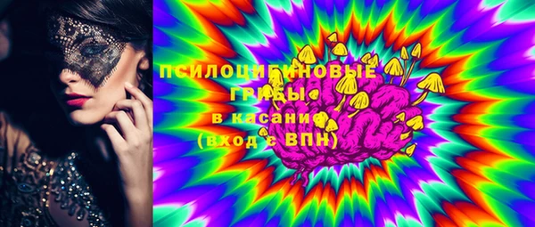 спайс Вяземский