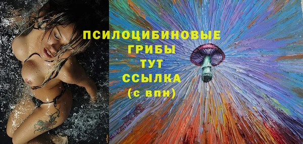 бошки Вязьма