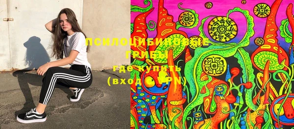 спайс Вяземский