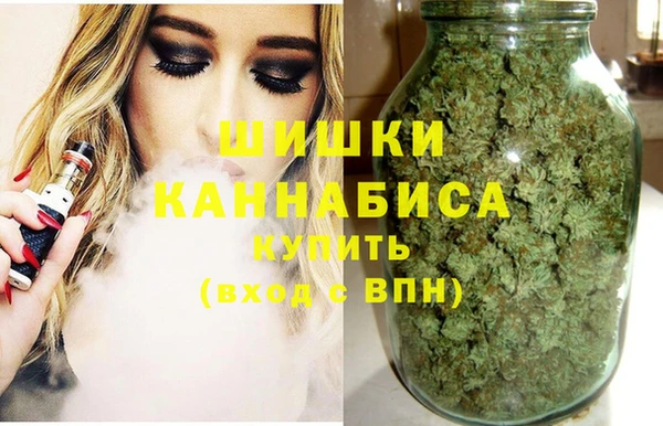 спайс Вяземский
