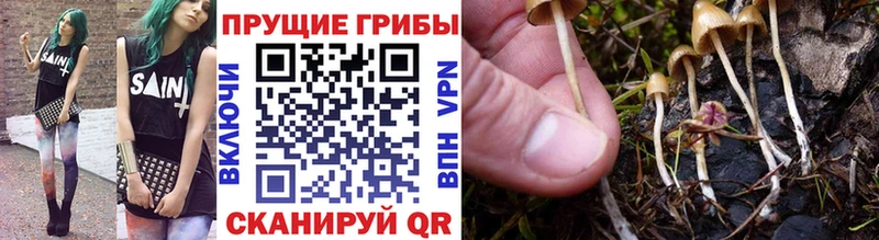 Галлюциногенные грибы прущие грибы  Купить закладки  Партизанск 